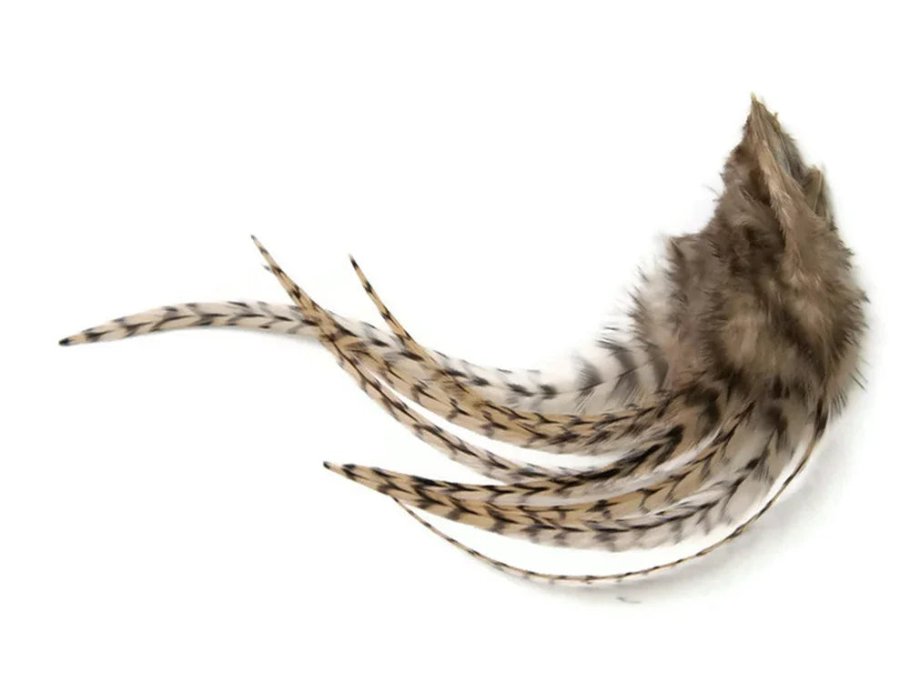 Natural brown and cream patterned feathers for DIY crafts and fashion accessories.