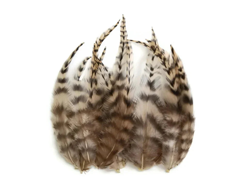 Natural brown and tan striped feathers for DIY crafts and fashion decor.