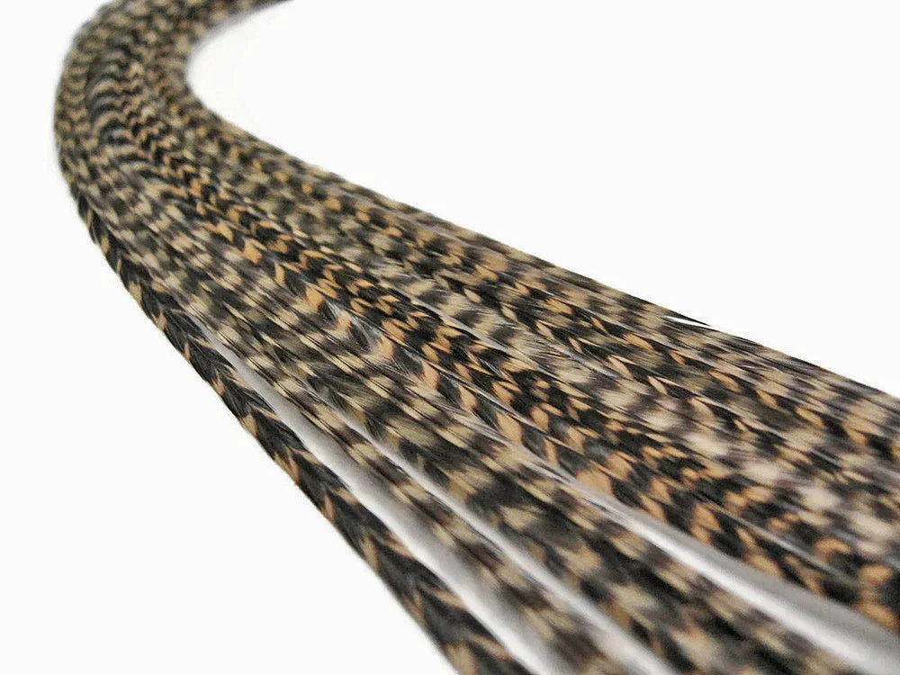 Natural patterned brown and black feathers for DIY crafts and fashion accessories.