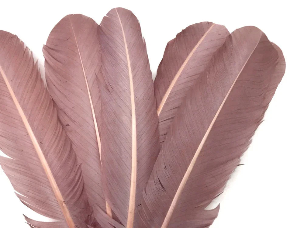Set of dusty rose pink natural feathers for DIY crafts and fashion accessories.