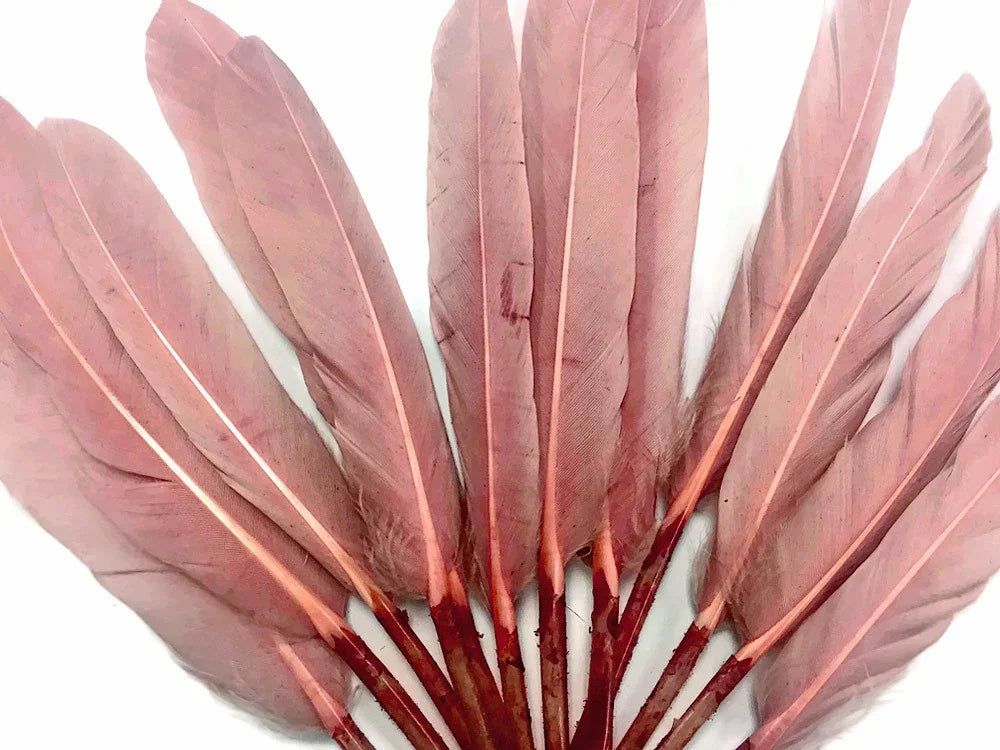 Fan of soft pink dyed feathers for DIY crafts and fashion accessories.