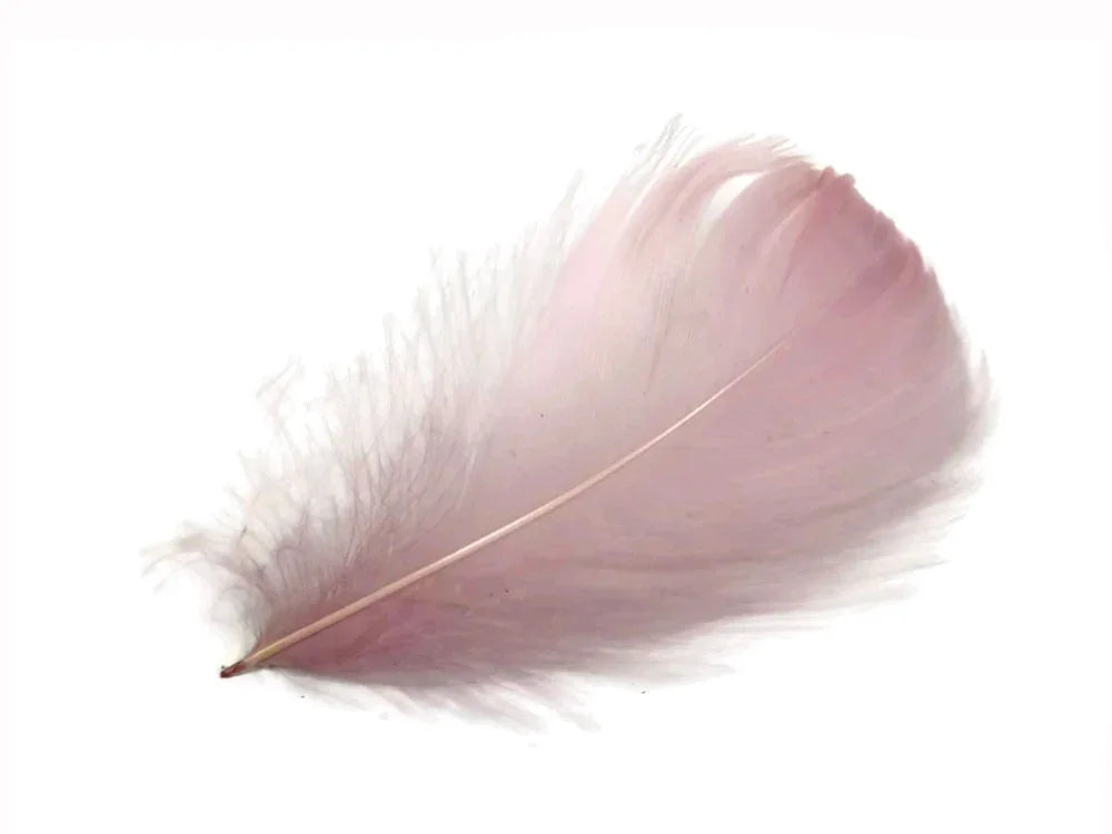Soft pink decorative feather for DIY crafts and fashion accessories on white background