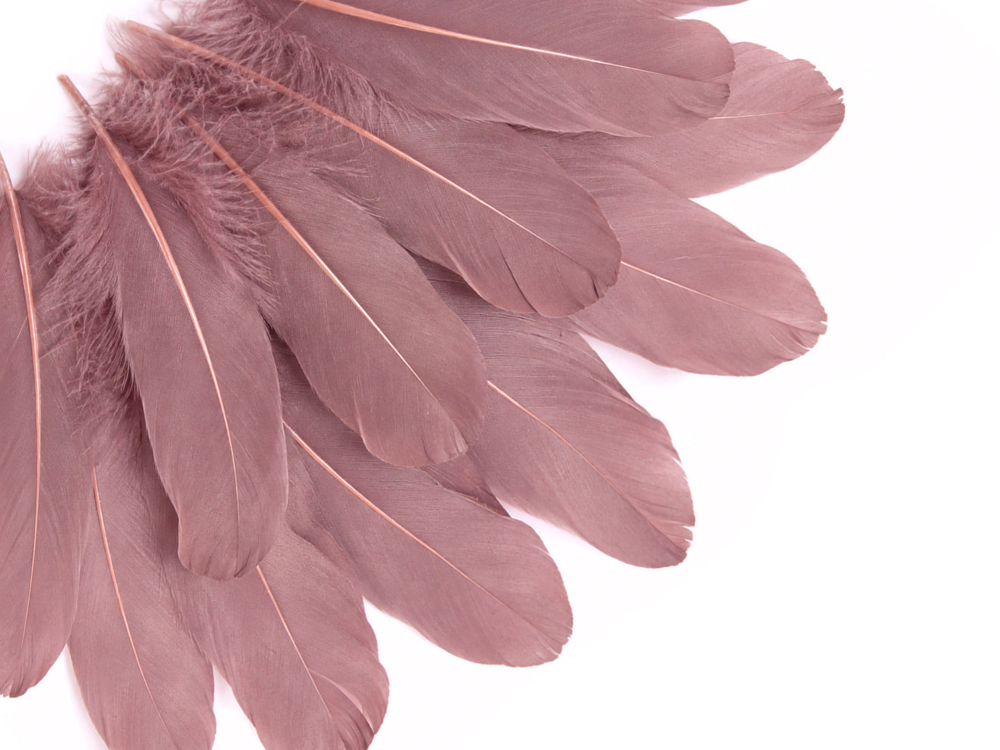 1/4 lbs. - Taupe Goose Satinettes Pallet Soft Wing Quill Wholesale Feathers (Bulk)