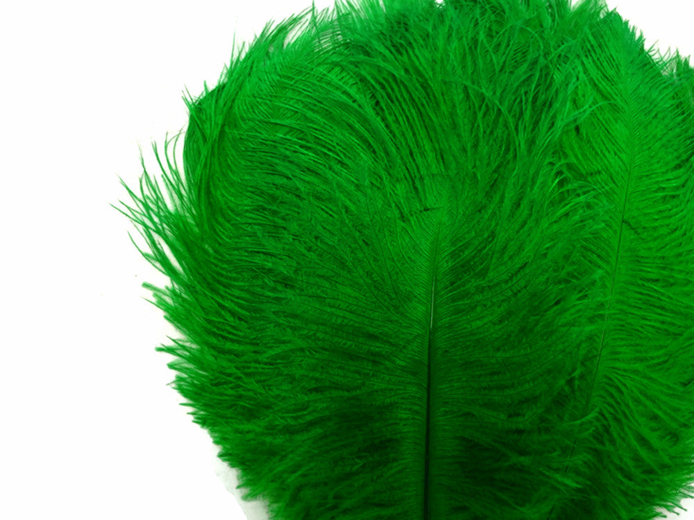 10 Pieces - 17-19" Kelly Green Large Bleached & Dyed Ostrich Drabs Body Feathers