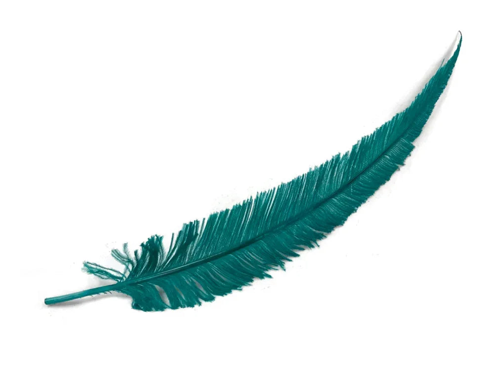 Single vibrant teal ostrich feather for fashion and craft DIY supplies on white background.