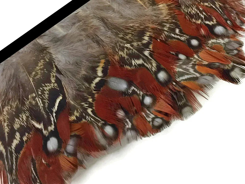 1 Yard - Natural Temminck Tragopan Rum Plumage Feather Trim