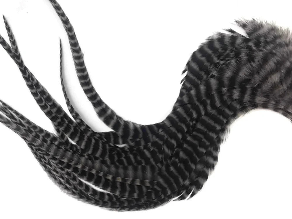 Black and white striped feathers for DIY crafts and fashion accessories.