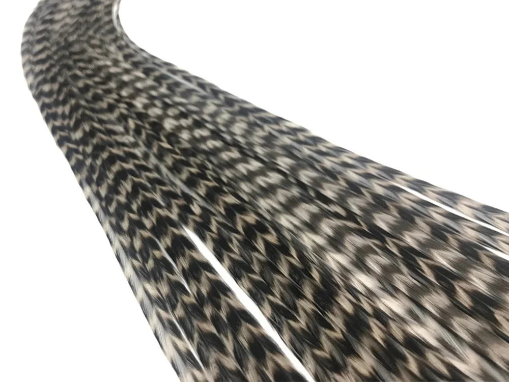 Long black and white patterned feathers for DIY crafts and fashion accessories.