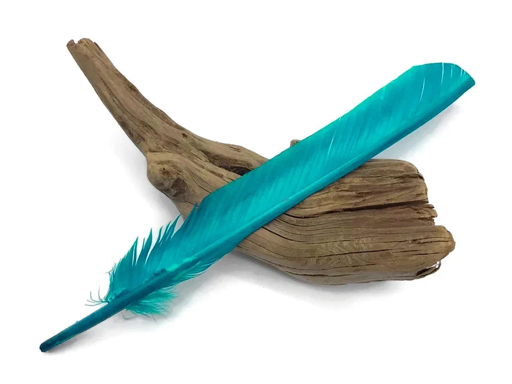 Vibrant turquoise blue craft feather resting on a piece of natural driftwood.