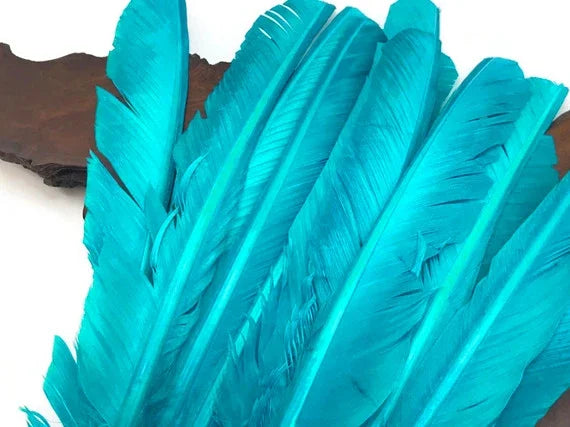 Vibrant turquoise dyed craft feathers for DIY fashion and décor projects.