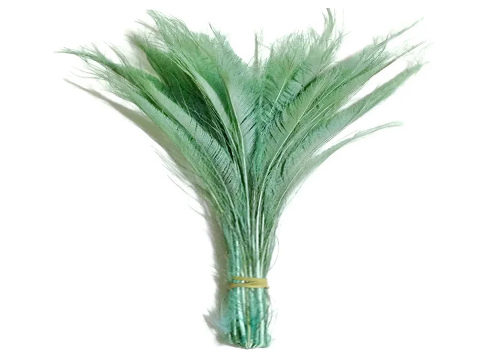 Bundle of long, light green ostrich feathers for crafts and fashion decor.