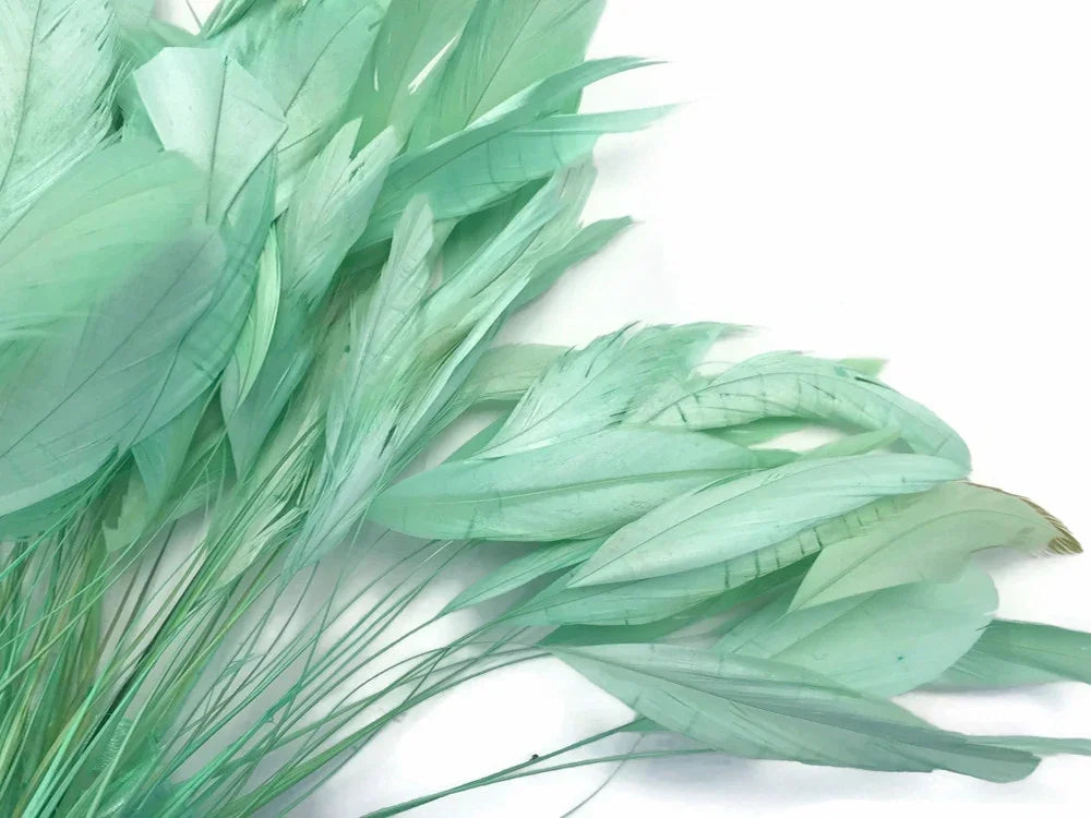 Soft mint green dyed feathers for DIY crafts, fashion, and decorative accessories.
