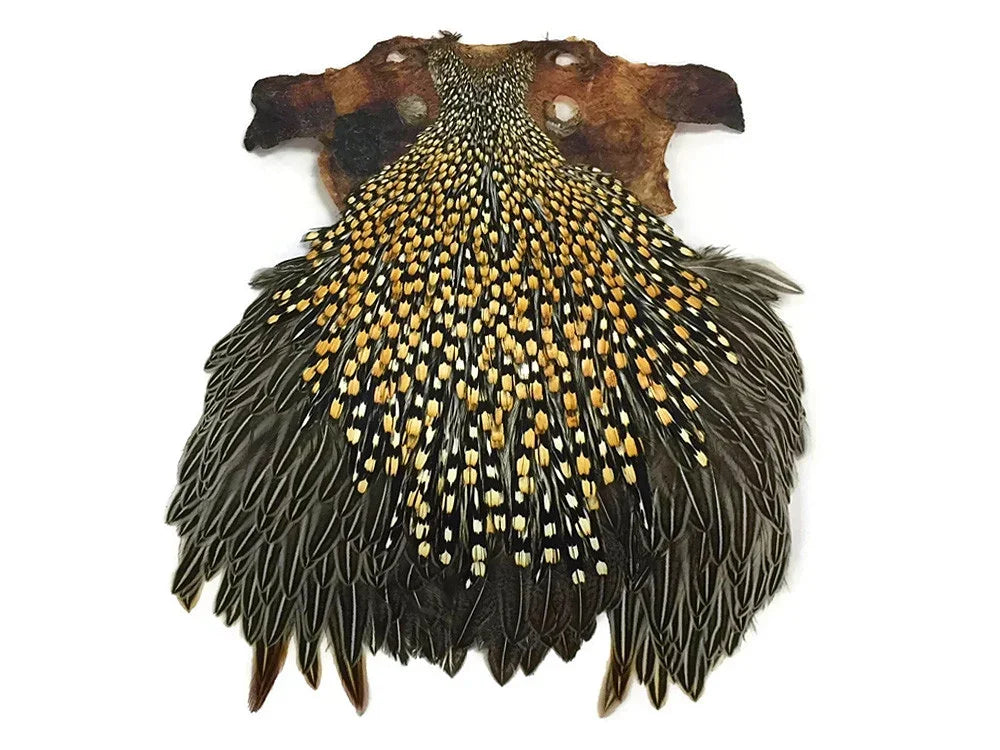 Natural patterned feathers with gold and black speckles for DIY crafts and fashion decor.