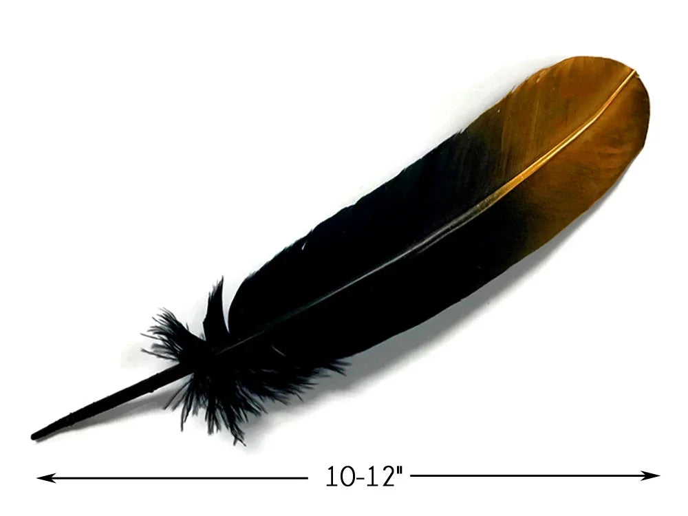 Large black and golden brown feather for crafts and DIY decor, 10-12 inches long.