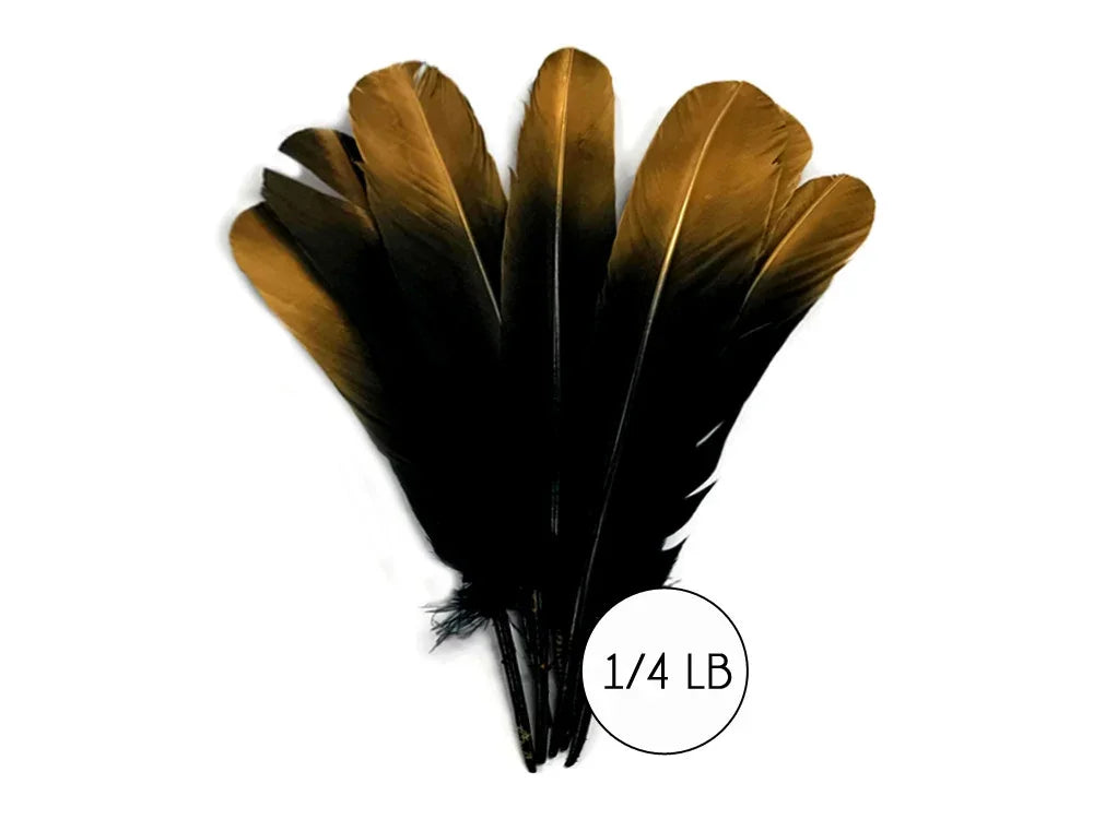 Bundle of large brown and black natural feathers for crafts and fashion decor, 1/4 lb pack.