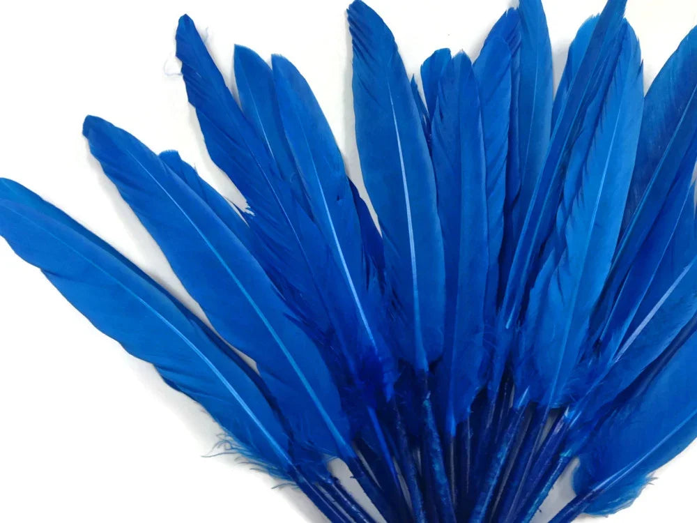 Vibrant cobalt blue feathers for DIY crafts, fashion, and costume decor.