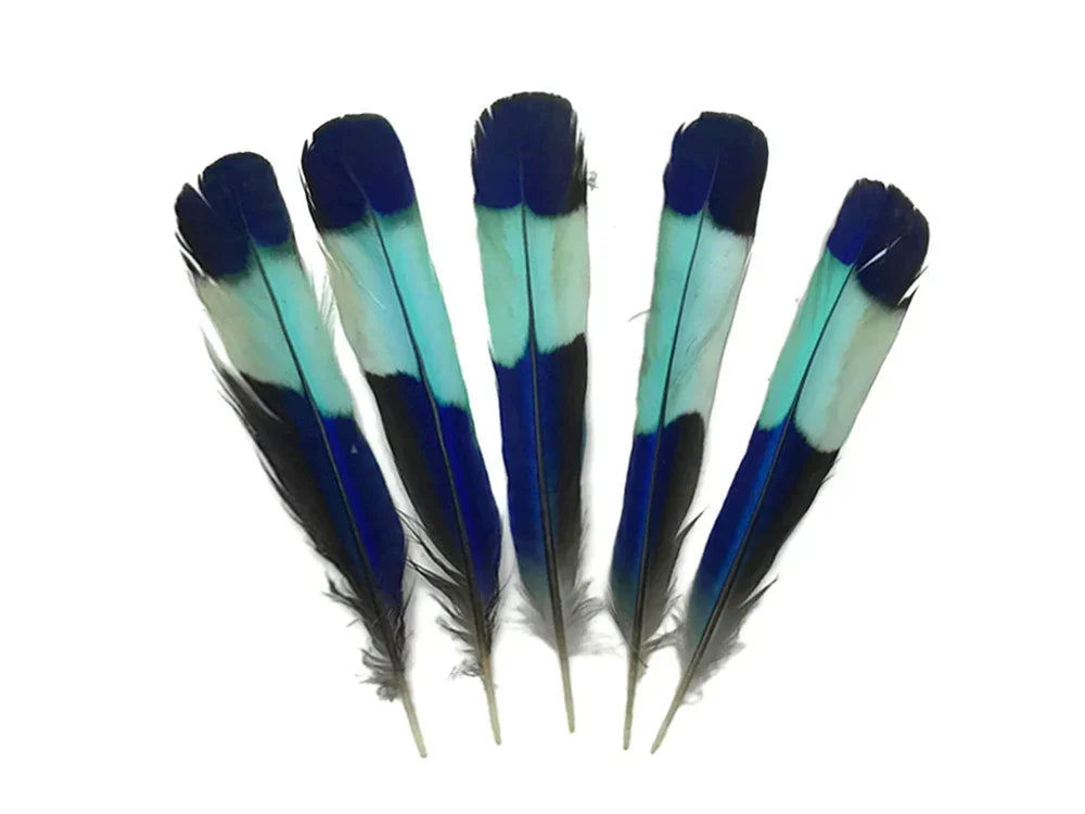 Five vibrant blue and turquoise feathers for craft and fashion DIY supplies.