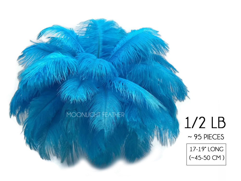 1/2 Lb - 17-19" Turquoise Ostrich Large Drab Wholesale Feathers (Bulk)