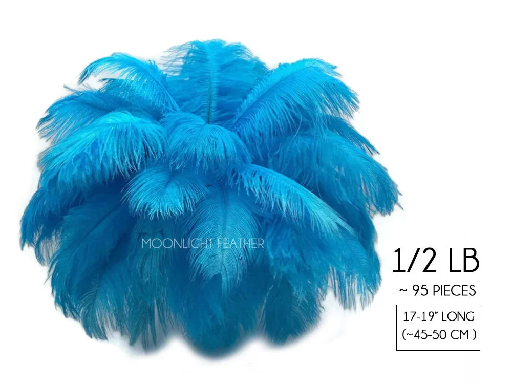 1/2 lb of vibrant blue ostrich feathers, approximately 95 pieces, 17-19 inches long.