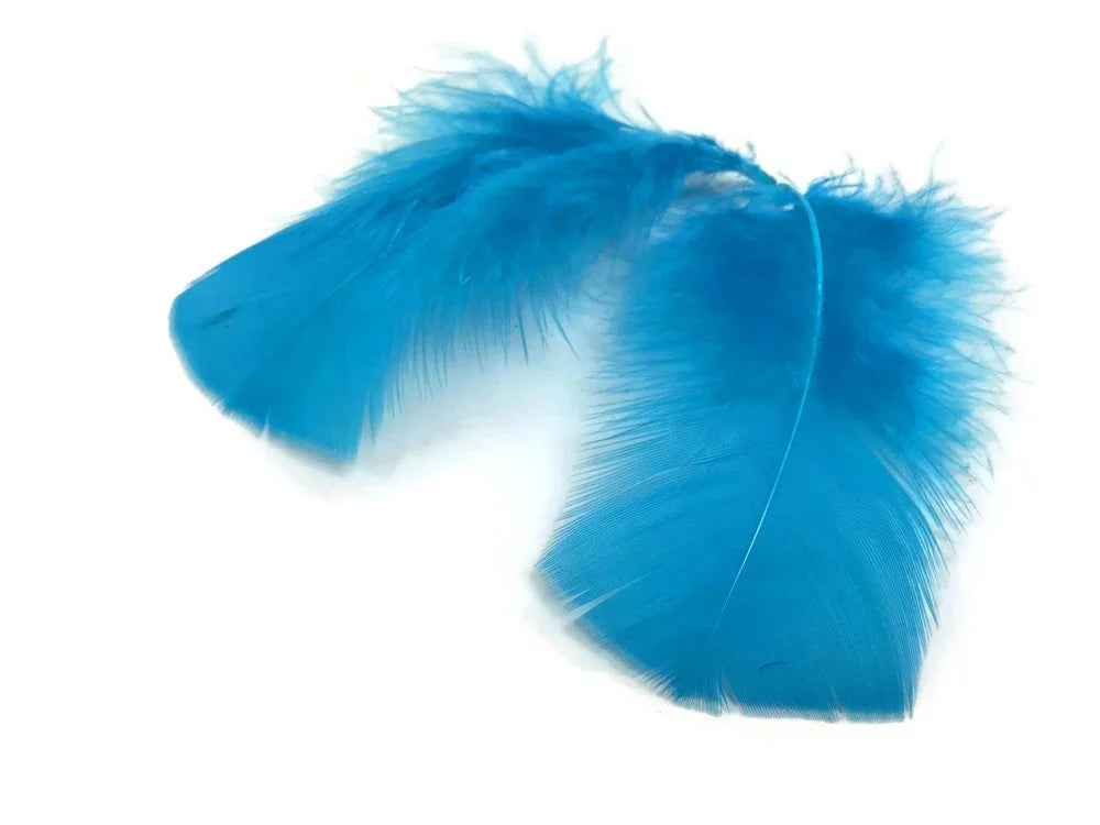 Vibrant bright blue feathers for crafts and fashion DIY supplies on a white background.