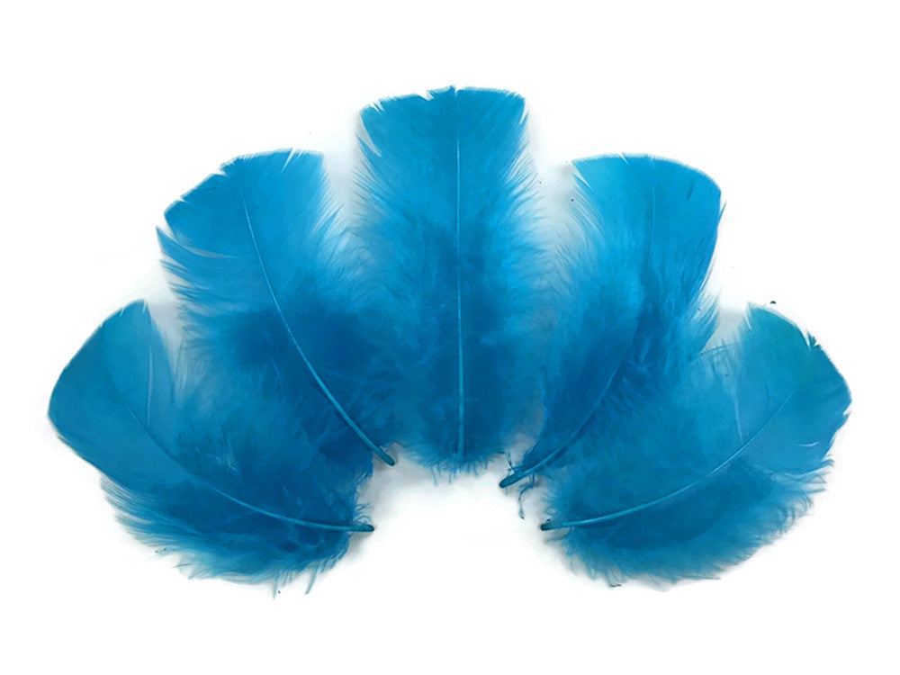 1/4 Lb - Turquoise Blue Turkey T-Base Wholesale Body Plumage Feathers (Bulk)