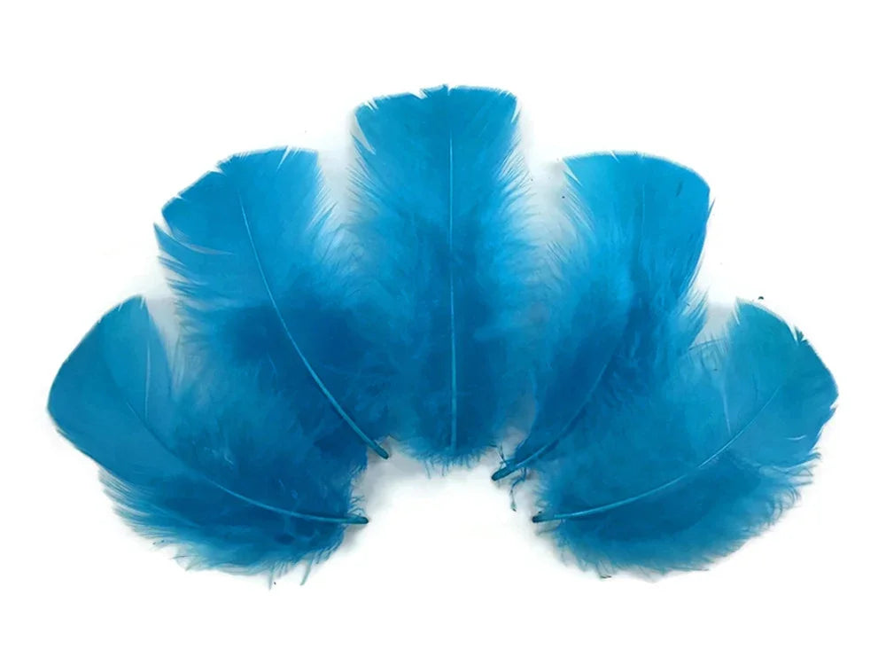 Five vibrant bright blue craft feathers arranged in a fan shape on a white background.
