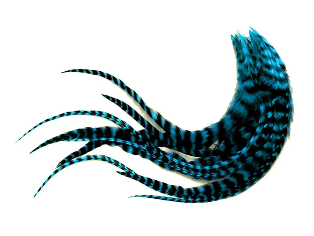 Vibrant blue and black striped feathers for DIY crafts and fashion accessories.