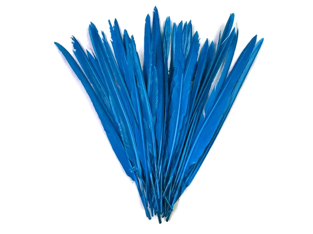 Vibrant blue craft feathers arranged in a fan shape on a white background.