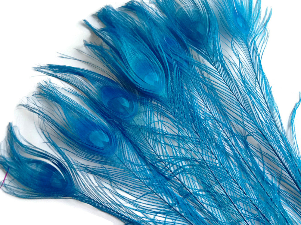 50 Pieces - 30-35" Turquoise Blue Bleached & Dyed Peacock Tail Eye Wholesale Feathers (Bulk)