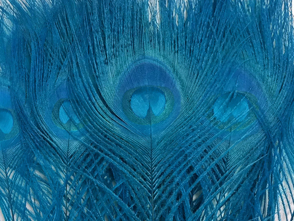 5 Pieces – Turquoise Blue Bleached & Dyed Peacock Tail Eye Feathers 10-12”