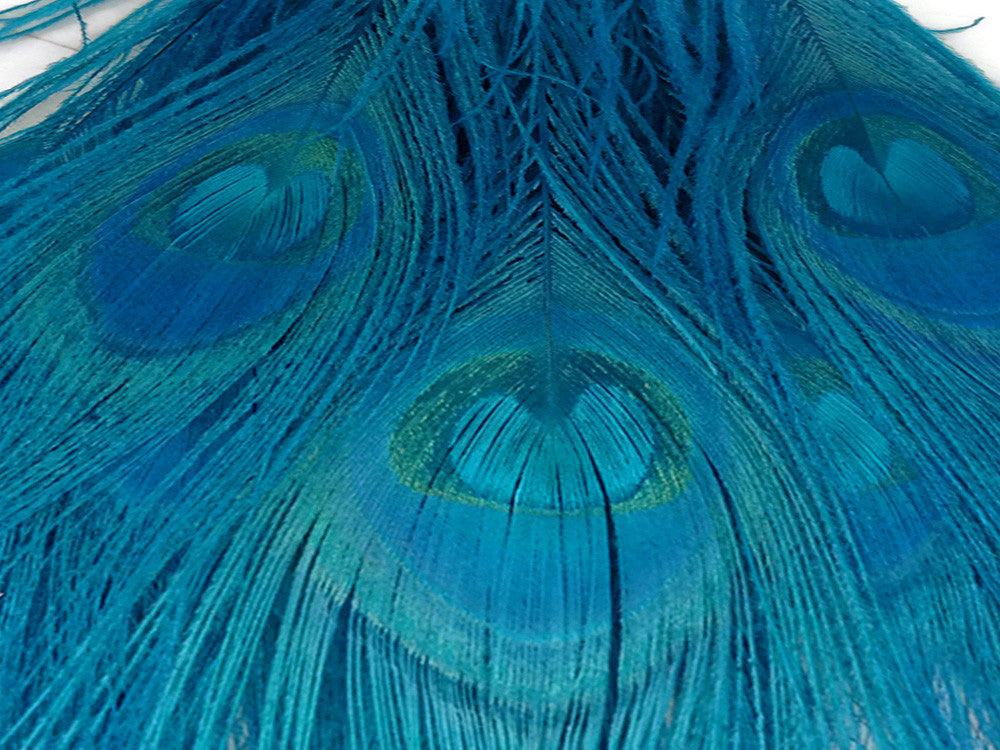 5 Pieces – Turquoise Blue Bleached & Dyed Peacock Tail Eye Feathers 10-12”