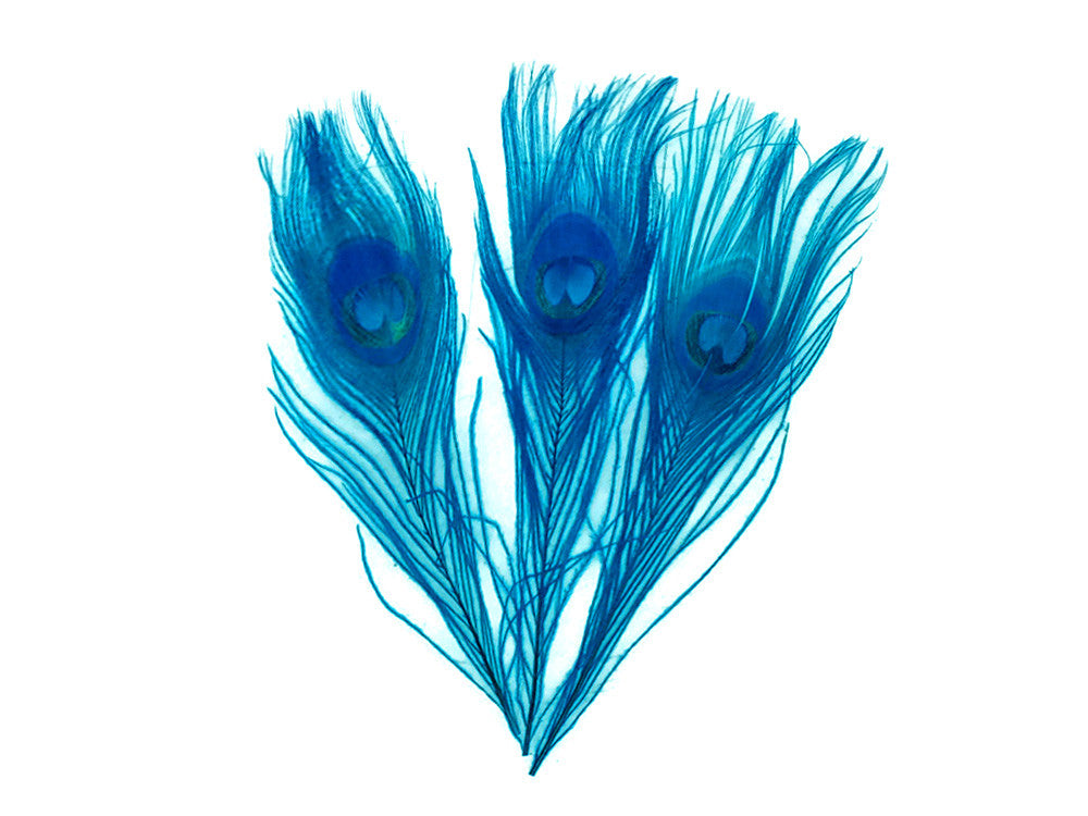 5 Pieces – Turquoise Blue Bleached & Dyed Peacock Tail Eye Feathers 10-12”