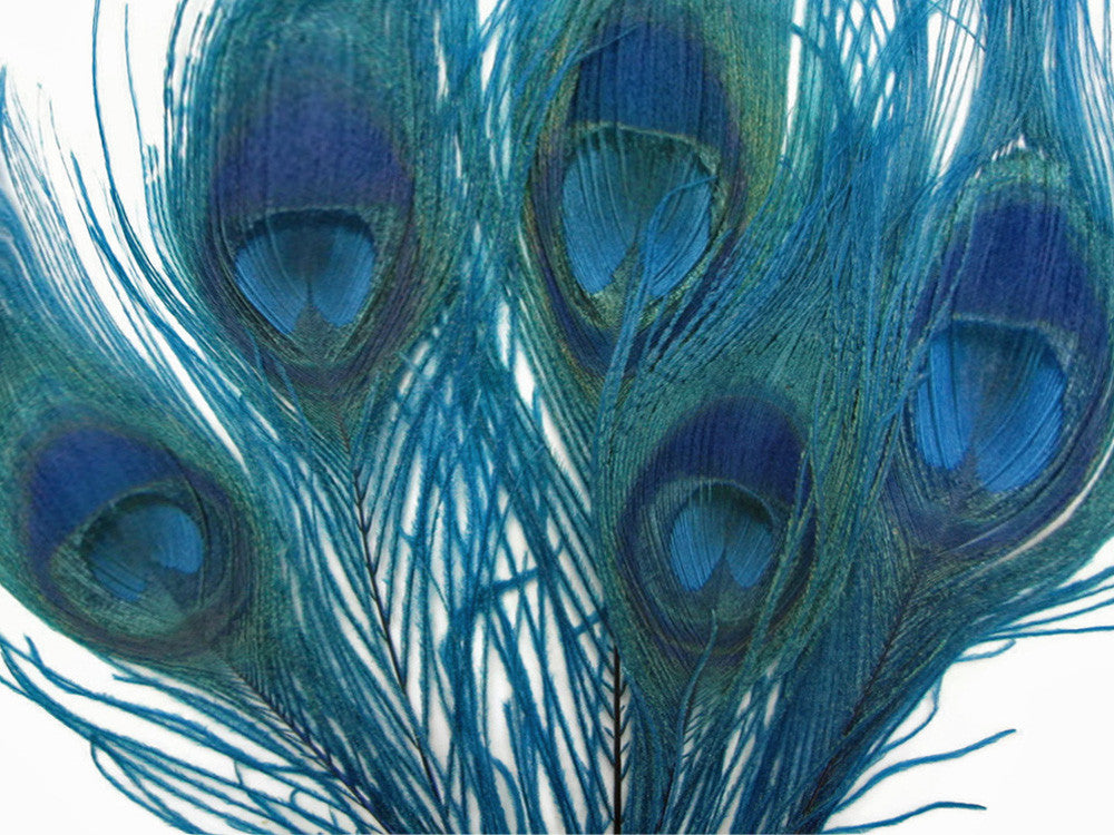 5 Pieces – Turquoise Blue Bleached & Dyed Peacock Tail Eye Feathers 10-12”