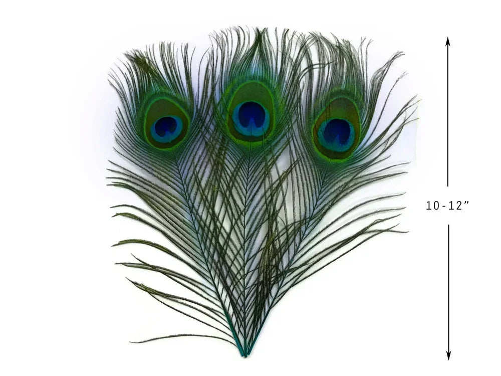 Three vibrant peacock feathers for crafts and decor, 10-12 inches long.