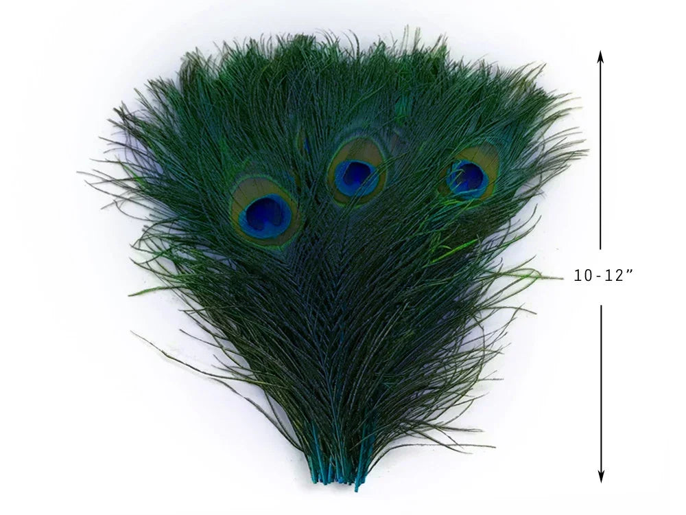 Bundle of iridescent green peacock feathers, 10-12 inches long for crafts and decor.