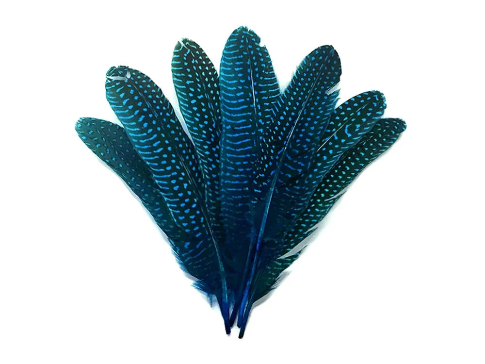 Vibrant blue patterned feathers for craft and fashion DIY supplies.