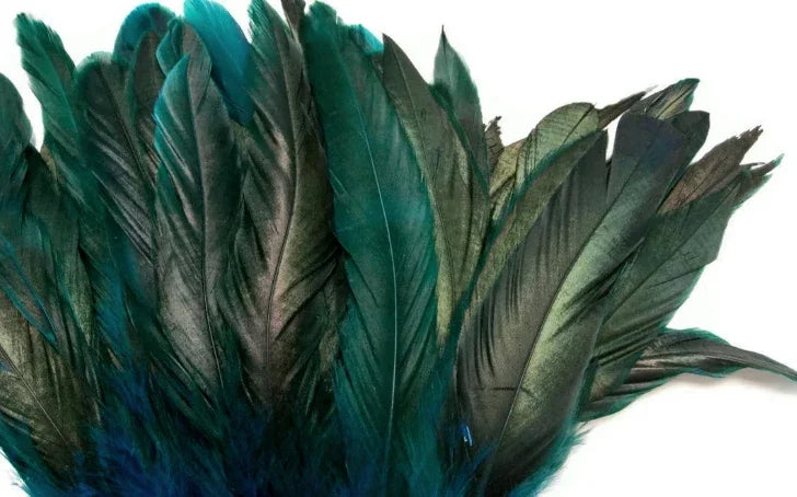 1/2 Yard - 8-10" Turquoise Blue Half Bronze Natural Dyed Coque Tail Strung Wholesale Feathers (Bulk)