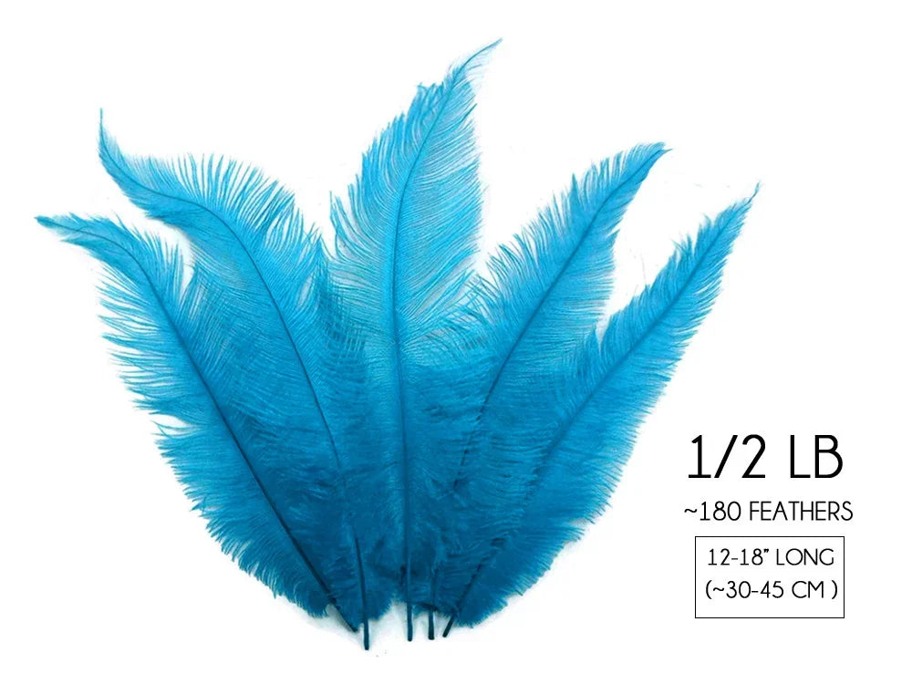 Vibrant blue ostrich feathers for crafts and fashion decor, 1/2 lb pack of 180 feathers.