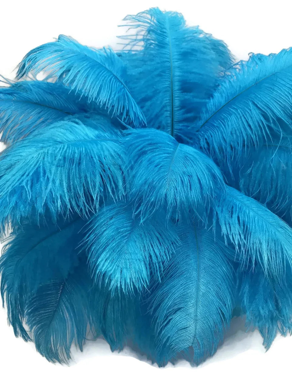 Vibrant bright blue ostrich feathers for DIY crafts and fashion decor.
