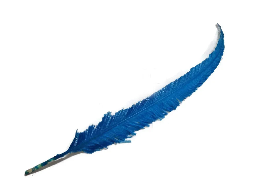 Vibrant blue feather for DIY crafts, fashion accessories, and creative décor.