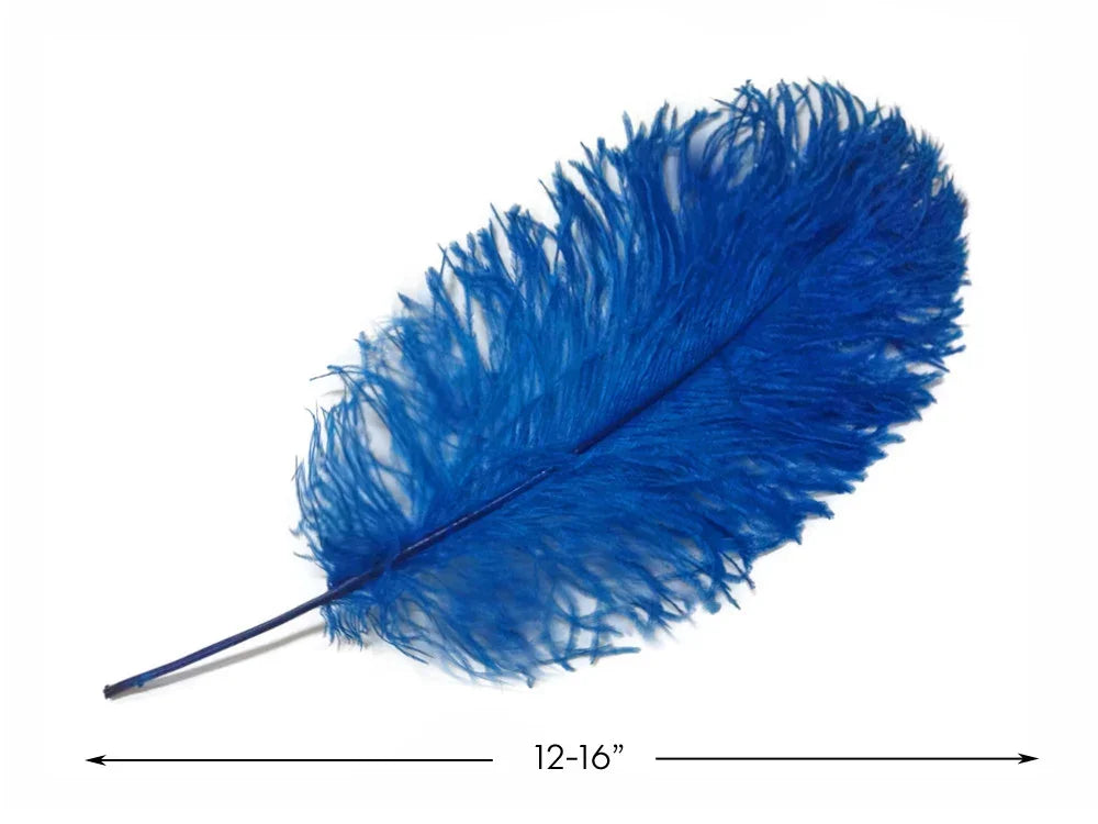Vibrant blue dyed feather for crafts and fashion decor, 12-16 inches long.