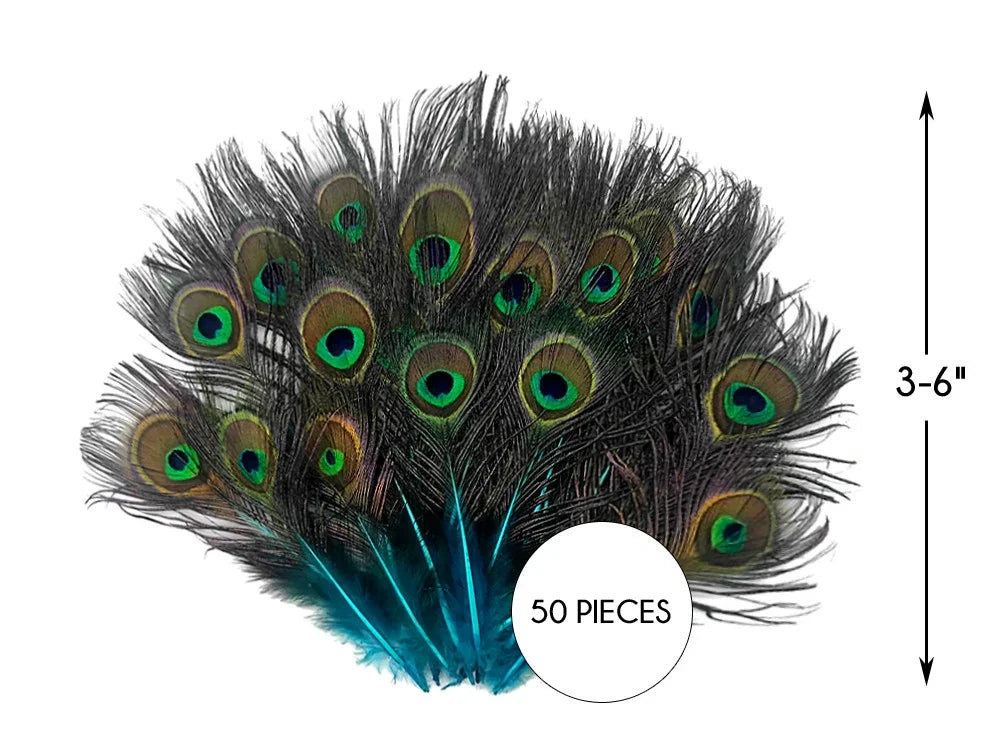 Bundle of 50 vibrant peacock feathers for DIY crafts and fashion decor, 3-6 inches long.