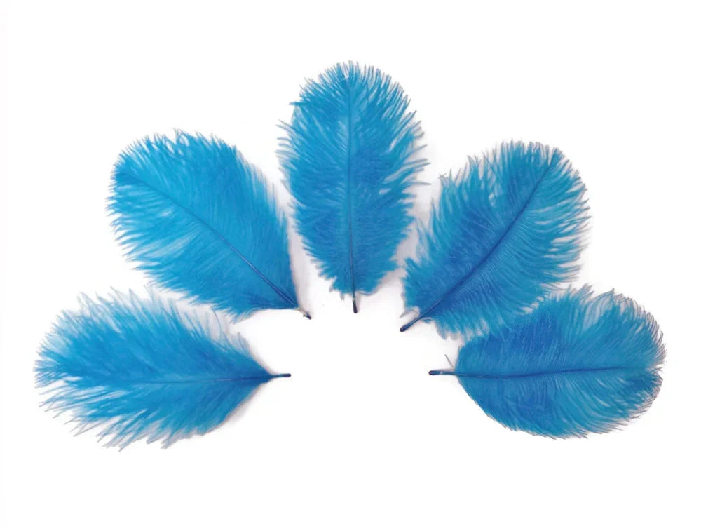 Five vibrant blue feathers arranged in a semi-circle on a white background for crafts.