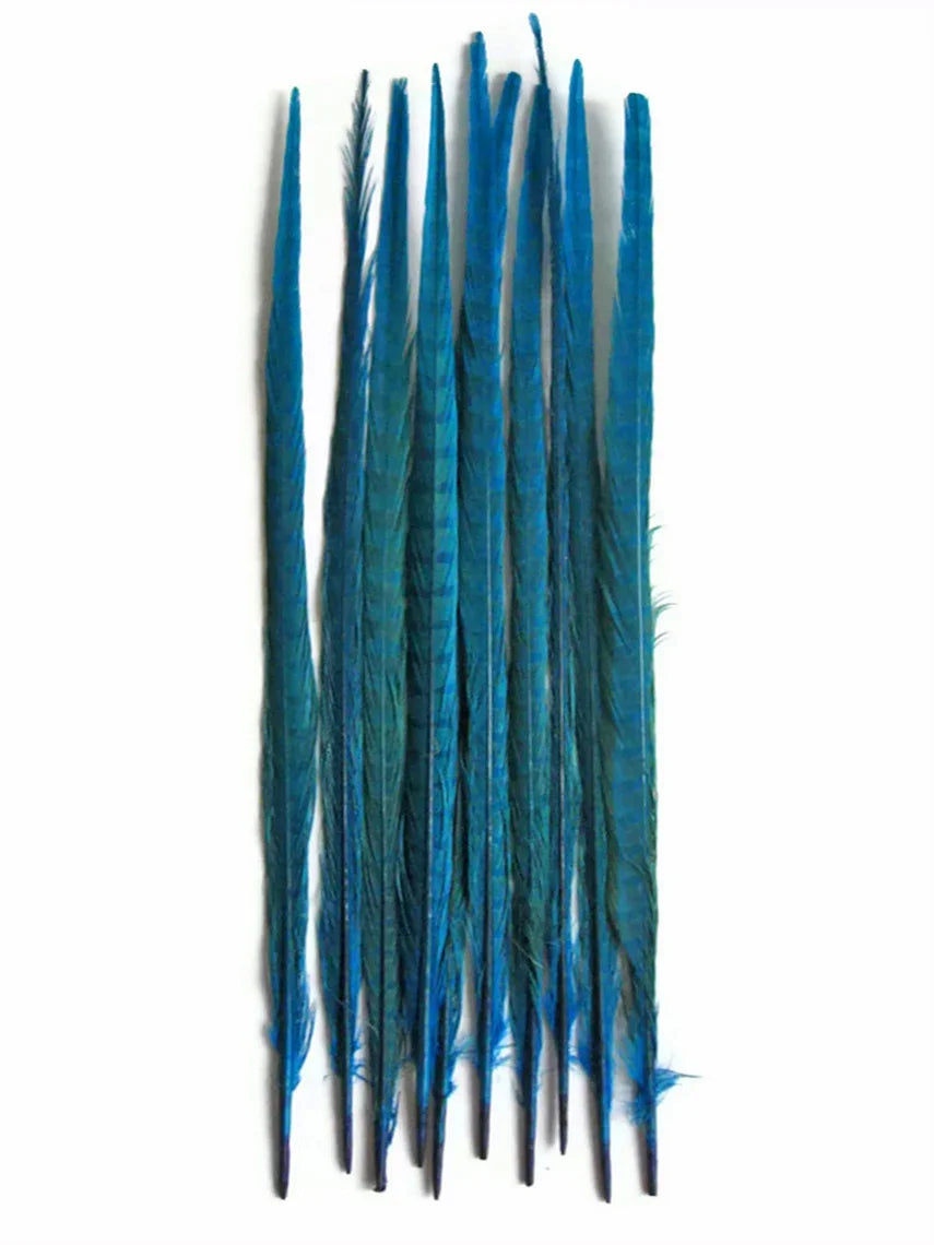 50 Pieces - 18-22" Turquoise Blue Bleached & Dyed Long Ringneck Pheasant Tail Wholesale Feathers (Bulk)