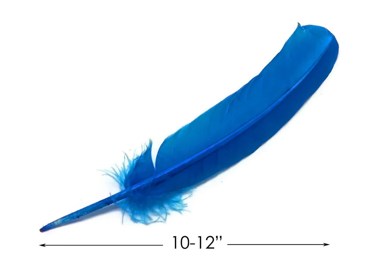 Vibrant blue craft feather, 10-12 inches long, for DIY fashion and decor projects.