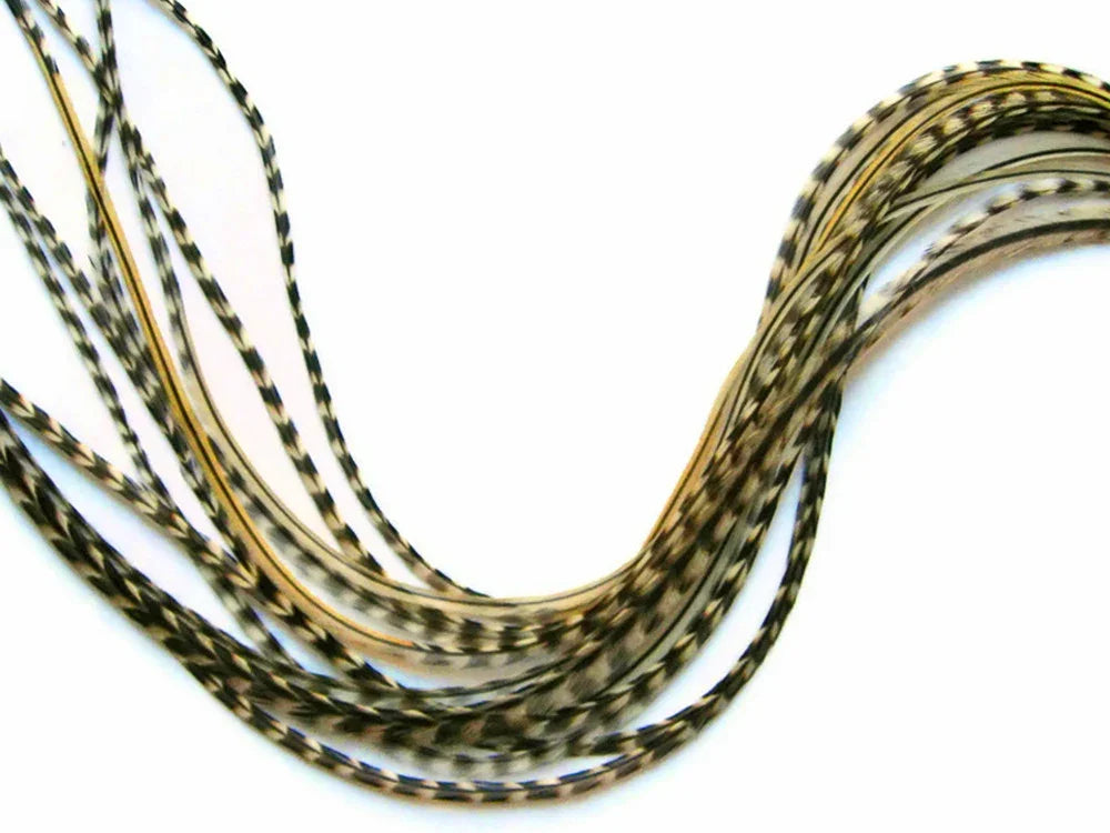 Natural patterned pheasant feathers for DIY crafts and fashion accessories.