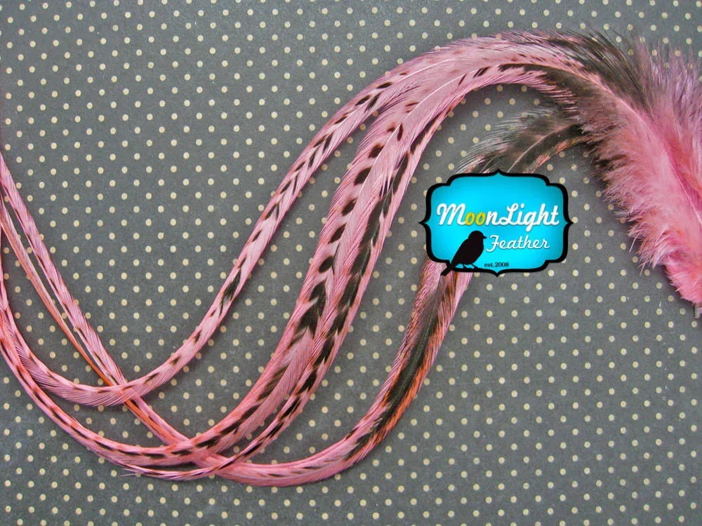 Long pink dyed feathers with black accents for crafts and fashion DIY supplies.
