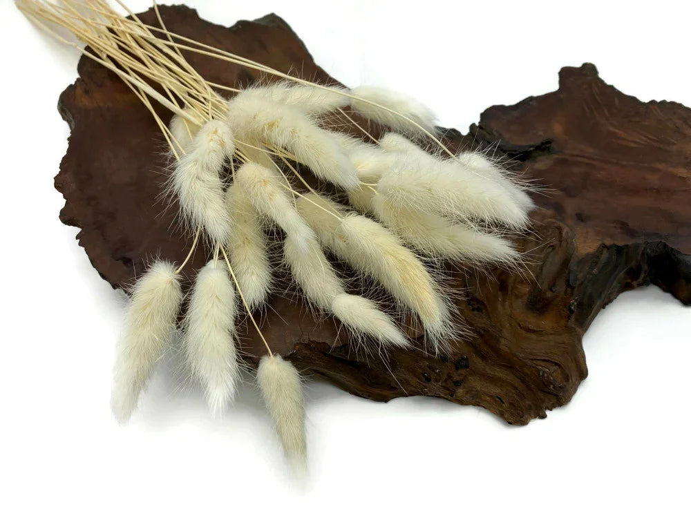 Dried white bunny tail grass decor on a rustic dark wood slab.