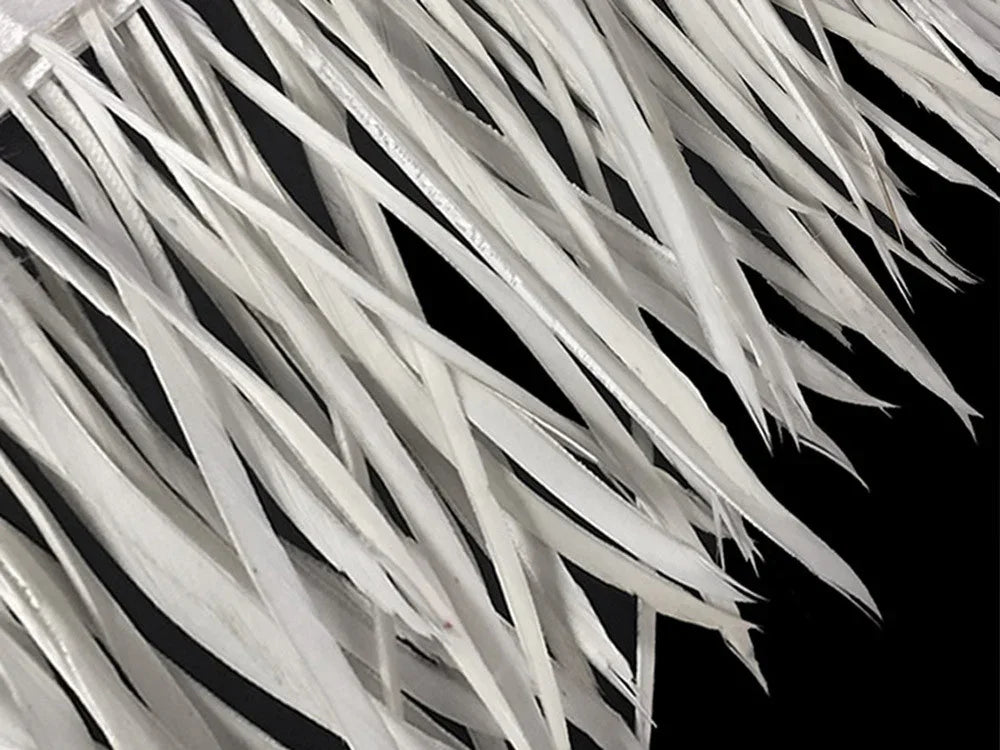 Close-up of long, elegant white feathers for DIY crafts and fashion decor.