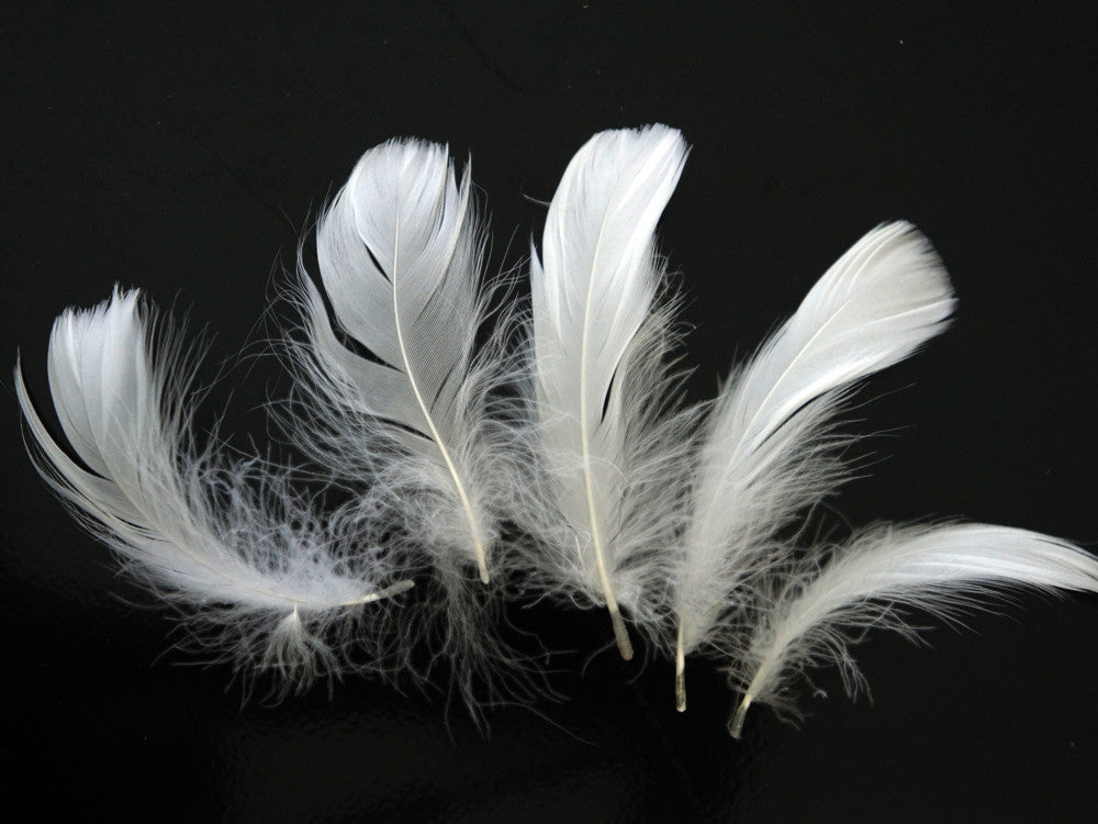 1/4 Lb - 2-3" White Goose Coquille Loose Wholesale Feathers (Bulk)